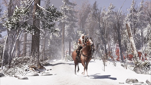 Игра Assassin's Creed III Remastered для Nintendo Switch