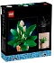 Конструктор LEGO Botanicals 11504 Спатифиллум