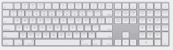 Клавиатура Apple Magic Keyboard and Touch ID (MK293LL), white