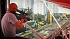 Игра Hitman World of Assassination: Signature Edition для Nintendo Switch 2