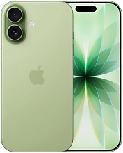 Apple iPhone 17 eSim 512GB, Sage (зеленый)
