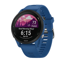 Часы Garmin Forerunner 255  Tidal Blue (010-02641-11)