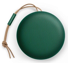 Bang & Olufsen Beosound A1 2nd Gen, зеленый