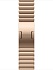 Apple Watch Series 10 46mm Titanium Case with Link Bracelet