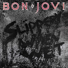 Виниловая пластинка Bon Jovi - Slippery When Wet (0602547029218)
