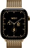 Умные часы Apple Watch Series 12 42mm Titanium Case with Milanese Loop
