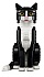 Конструктор LEGO Tuxedo Cat 21349