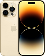 Смартфон Apple iPhone 14 Pro 1TB Dual Sim, золотой