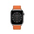 Ремешок Apple Watch Hermès - 41mm Swift Leather Single Tour