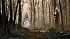 Игра Talos Principle 2 Deluxe для PS5