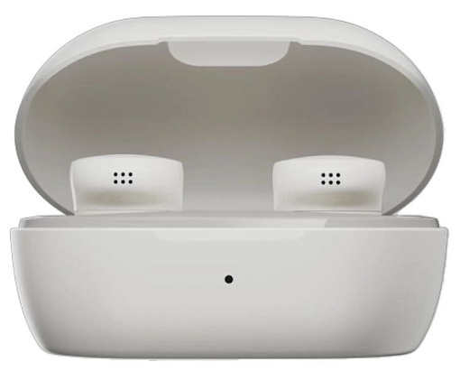 Беспроводные наушники Bose QuietComfort Earbuds 5V