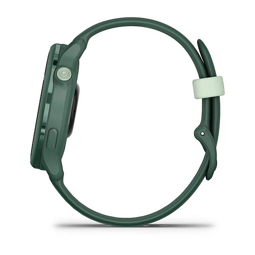 Смарт-часы Garmin Vivoactive 6