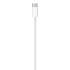 USB-C to Lightning Cable (1 m) MM0A3AM