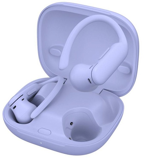 Беспроводные наушники Beats Powerbeats Pro 2