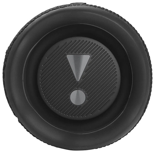 Портативная акустика JBL Flip 6