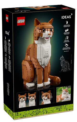 Конструктор LEGO Ideas 21376 Конструктор Рыжий кот