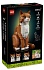 Конструктор LEGO Ideas 21376 Конструктор Рыжий кот