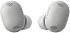 Беспроводные наушники Sony TWS WF1000XM6/BZE