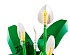 Конструктор LEGO Botanicals 11504 Спатифиллум