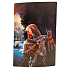 Сменные панели корпуса для PS5 Faceplate Assassin's Creed