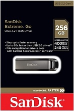 SanDisk Extreme Go 256ГБ, черный (SND-SDCZ810-256G)