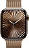 Apple Watch Series 10 46mm Titanium Case with Milanese Loop