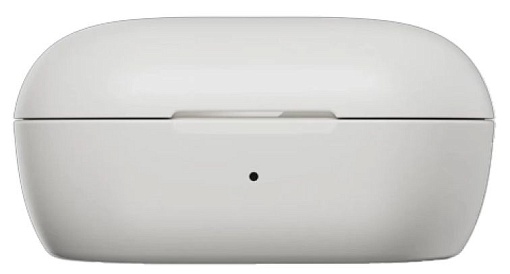 Беспроводные наушники Bose QuietComfort Earbuds 5V