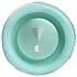Портативная акустика JBL Flip 6