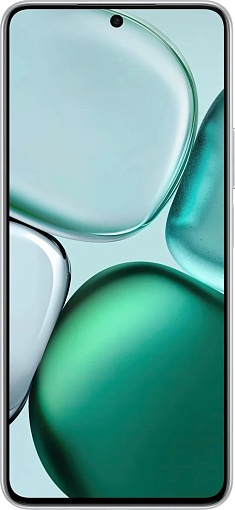 Смартфон Honor X9c Smart 8/256