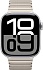 Apple Watch Series 10 42mm Aluminum Case with Link Bracelet