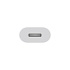 USB-C to Lightning Adapter