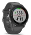 Умные часы Garmin Forerunner 255