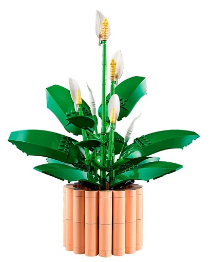 Конструктор LEGO Botanicals 11504 Спатифиллум