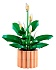 Конструктор LEGO Botanicals 11504 Спатифиллум