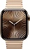 Apple Watch Series 10 46mm Titanium Case with Link Bracelet
