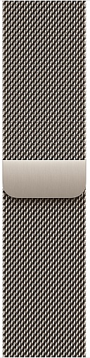 Умные часы Apple Watch Series 12 42mm Titanium Case with Milanese Loop