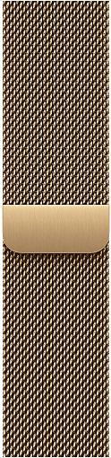 Умные часы Apple Watch Series 12 42mm Titanium Case with Milanese Loop