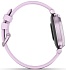 Умные часы Garmin Lily 2