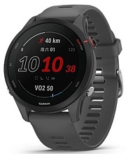 Garmin Forerunner 255, Slate Grey (010-02641-41)