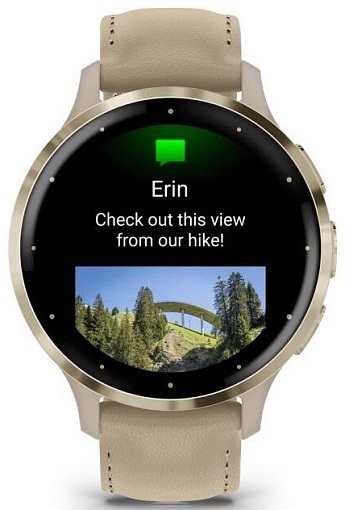 Смарт-часы Garmin Venu 3S