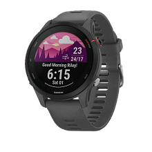 Garmin Forerunner 255 Slate Gray (010-02641-10)