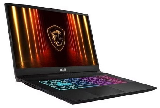 Ноутбук MSI Katana 17 HX B14WFK-275XRU (Intel Core i5-14450HX, NVIDIA GeForce RTX 5060) 32ГБ, 1ТБ SSD, noOS
