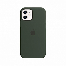Силиконовый чехол MagSafe для iPhone 12 Pro/12 (Кипрский зеленый)
