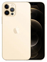 Смартфон Apple iPhone 12 Pro 256GB (Золото)