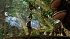 Игра Smalland: Survive the Wilds для PS5