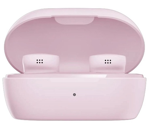 Беспроводные наушники Bose QuietComfort Earbuds 5V