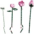 Конструктор LEGO Botanicals 10374 Розовый букет