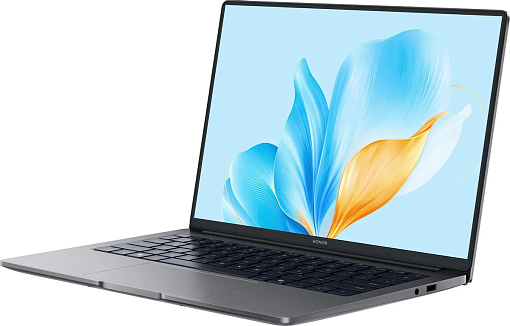 Ноутбук Honor MagicBook X14 2025 FRG-X (Intel Core i5 13420H, Intel UHD Graphics) 16ГБ, 512ГБ, Windows 11 Home