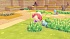 Игра Pokemon Pokopia для Nintendo Switch 2