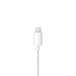 EarPods с разъёмом Lightning